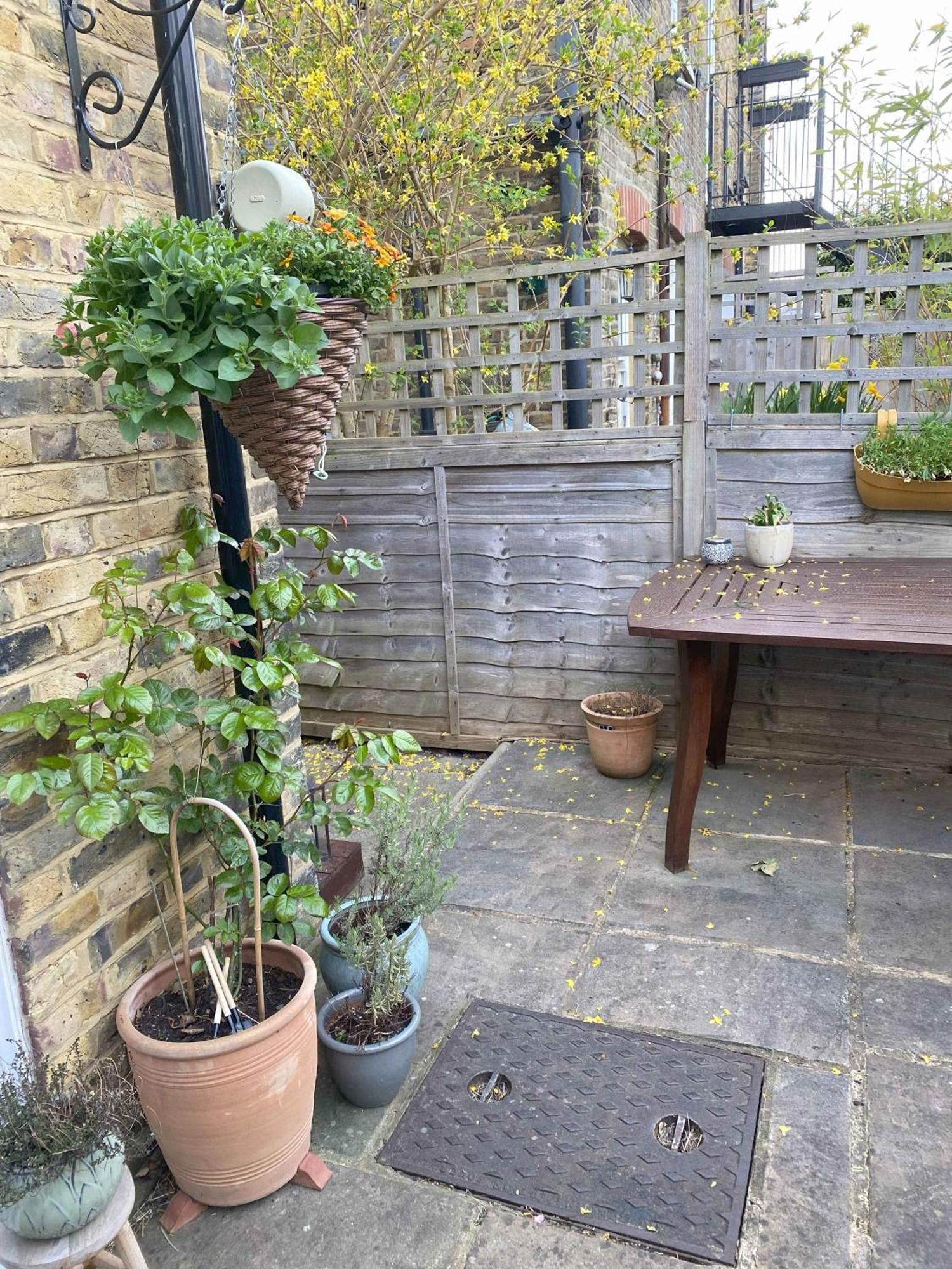 Cosy Earlsfield Pad With Garden *